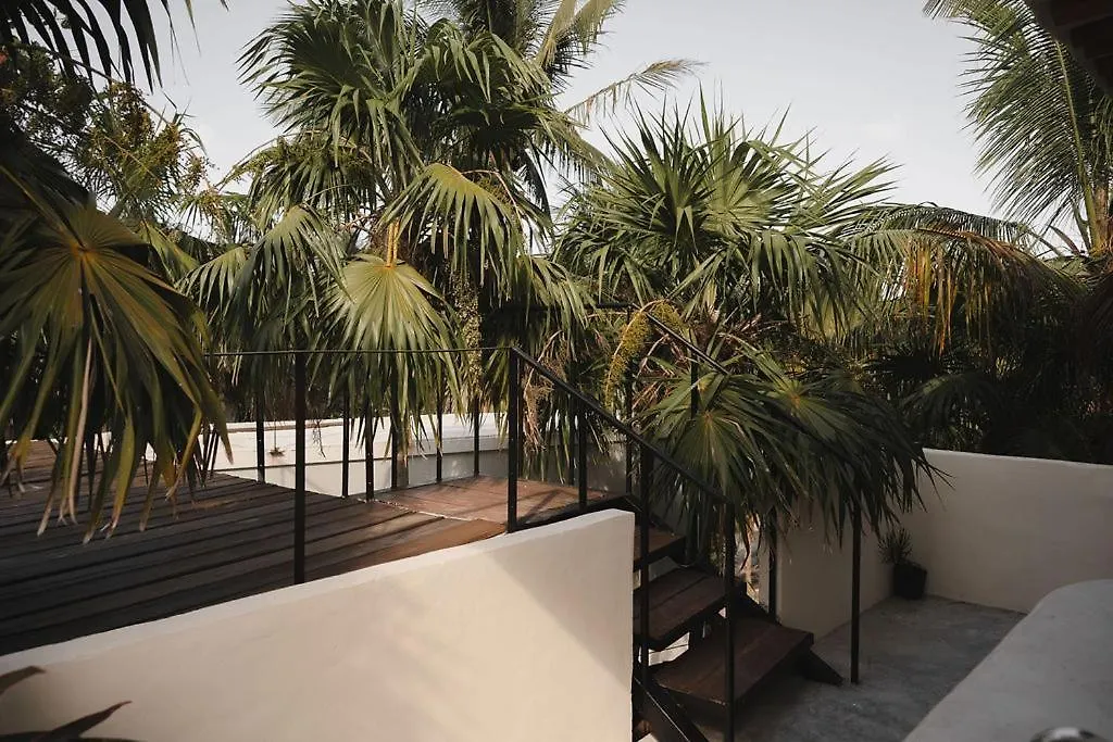 ****  Astra Tulum Hotel Mexico