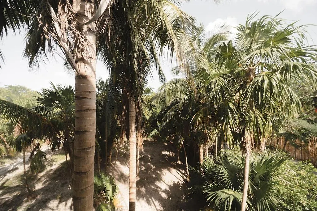 Astra Tulum Hotel