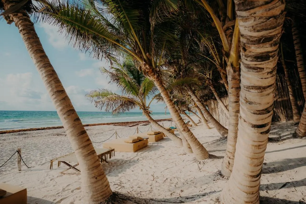 Astra Tulum Hotel Mexico