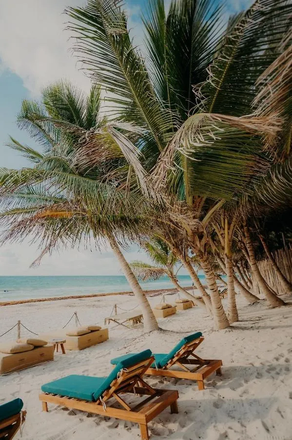 Astra Tulum Hotel