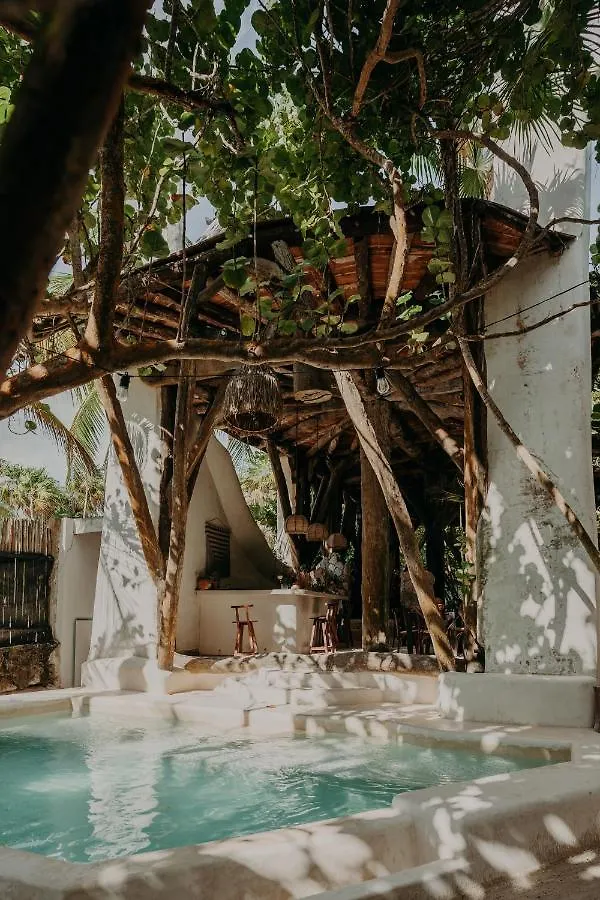 ****  Astra Tulum Hotel Mexico